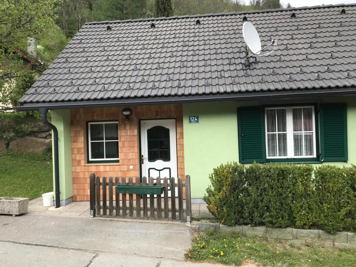 Ferienhaus Stolz Sankt Peter am Kammersberg Bagian luar foto